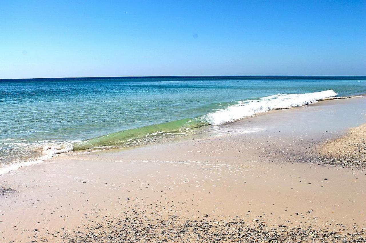 Phoenix East 707 Orange Beach Ngoại thất bức ảnh